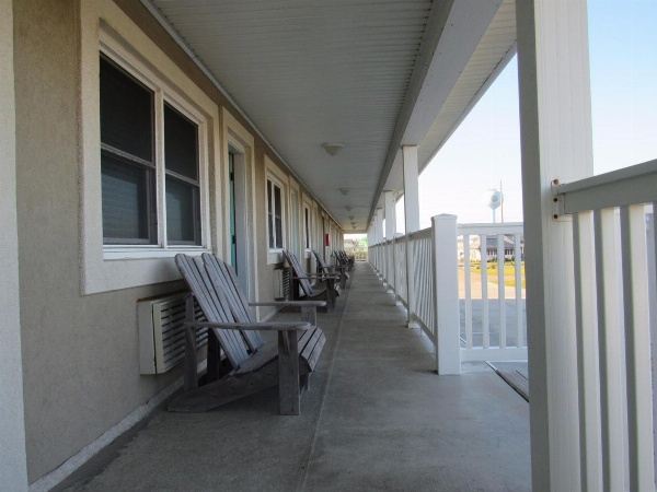 Sea Gull image 42