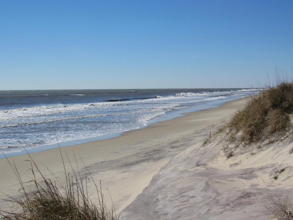 Sea Gull image 48
