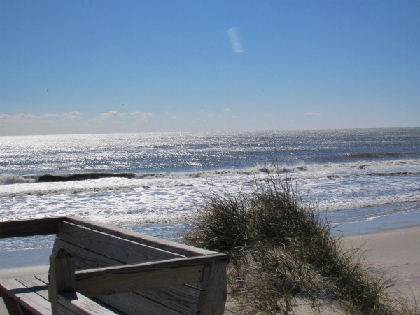 Sea Gull image 50